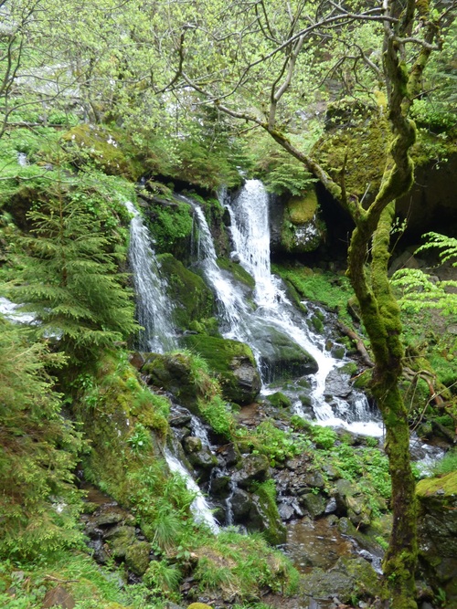 23.05.2018.la Croix Morand. les Cascades du Mont Dore...Clichés de Roland