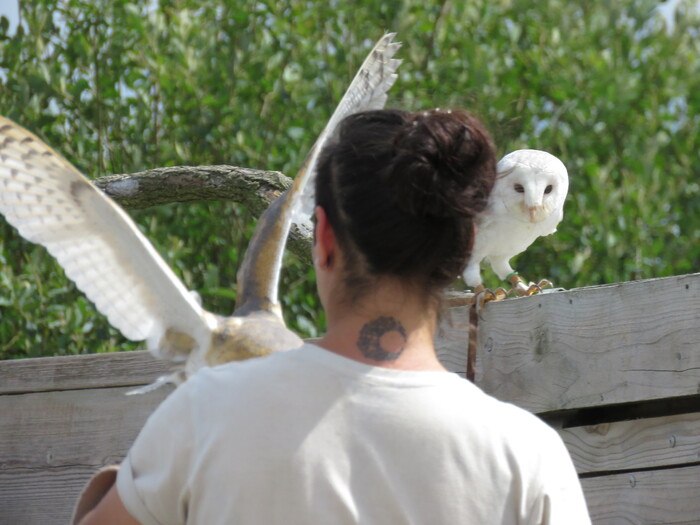 Zoo de la Boissière Du Doré (6).