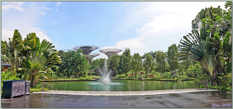 L'orage est terminé, Nous sortons et nous allons traverser le superbe jardin du Marina Bay Sands - Singapour