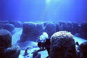 201-Stromatolites-Lee-Stocking-Exumas-Bahamas