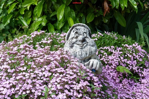 Habitants du jardin