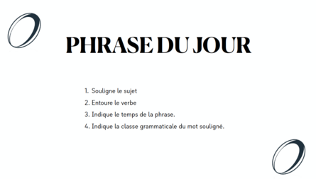 Travail autour de la coupe du monde de rugby