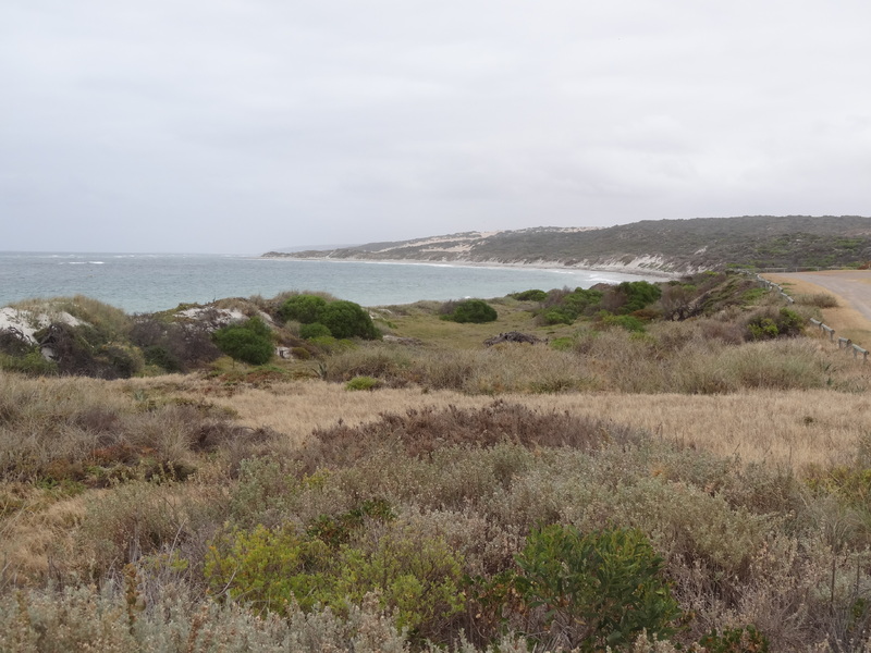 Horrocks beach