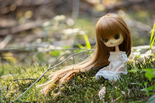 Ballade en forêt avec Kotori