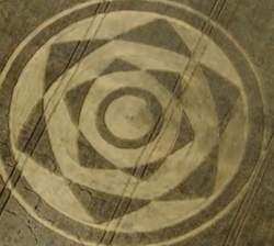 Crop circles 2013