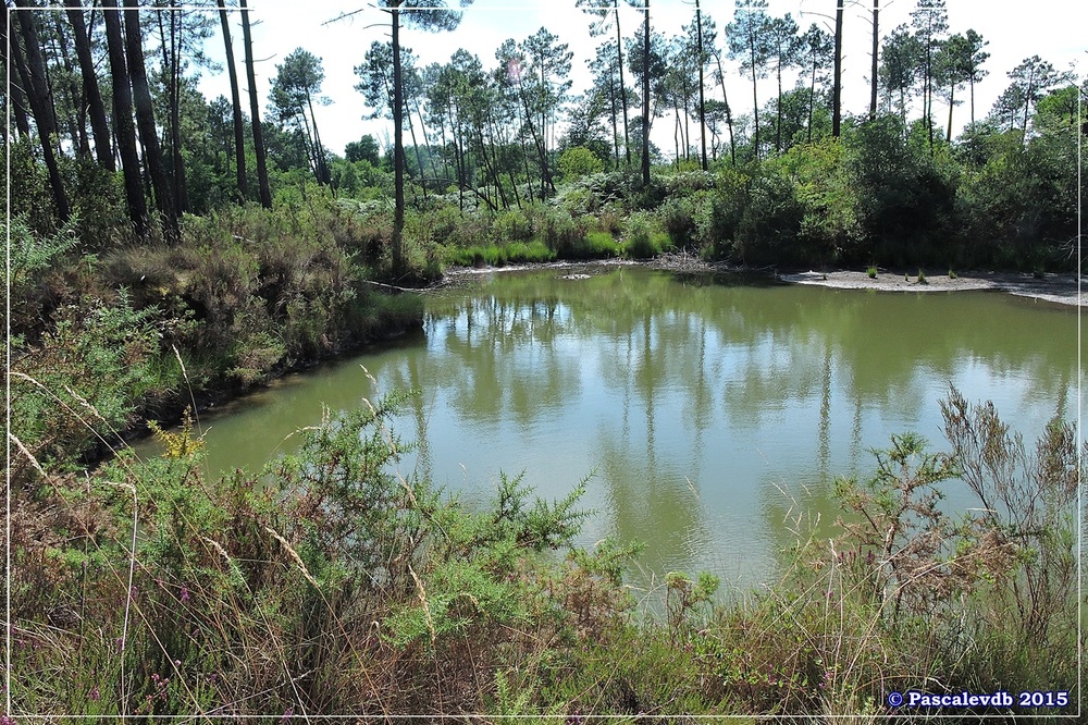 Nouvelle balade au lac du Bousquey - Juillet 2015 - 4/7