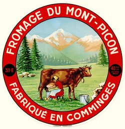 Images présentant des vaches - 1965 à 1969