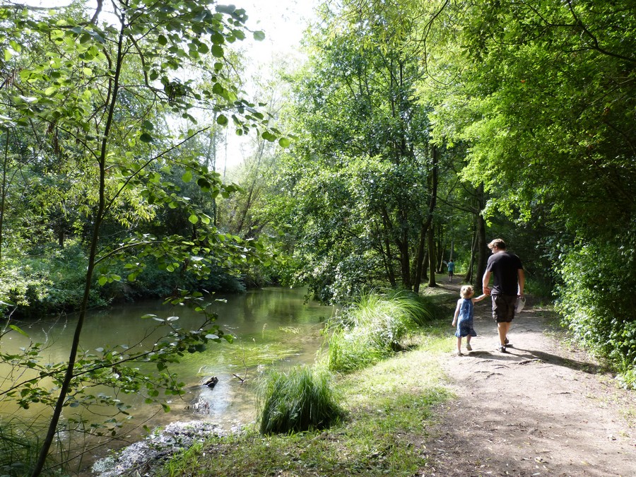 L'Etang Saint-Ladre (3)