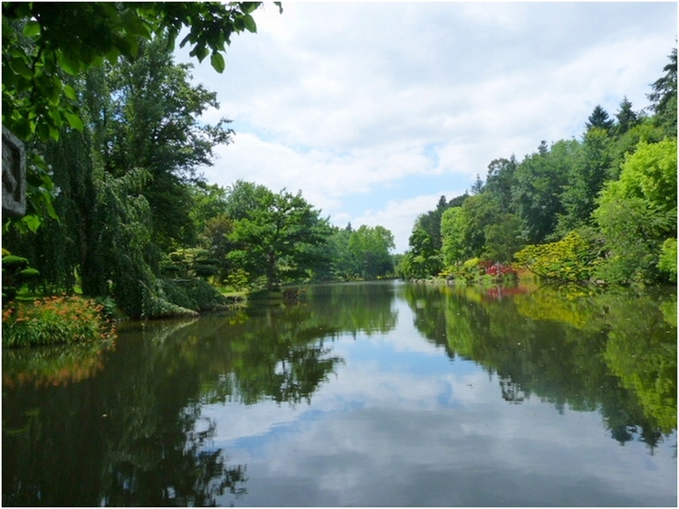 Ambiance zen à Maulevrier  (2)