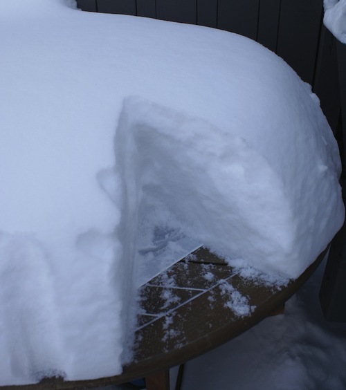 Alerte, tempête de neige !