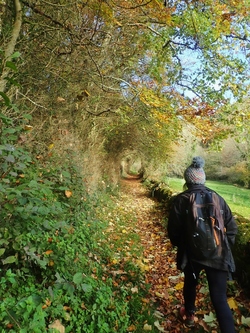 Le sentier des insectes de St Léon