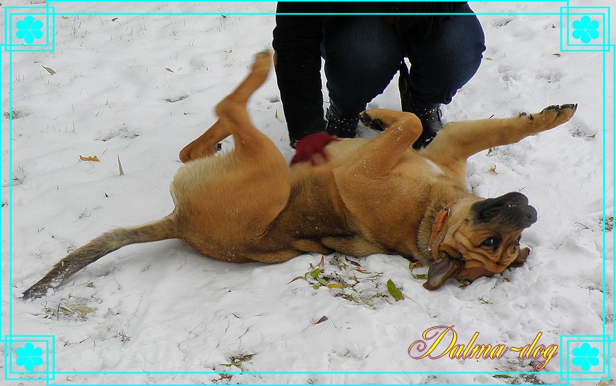 calin dans la neige