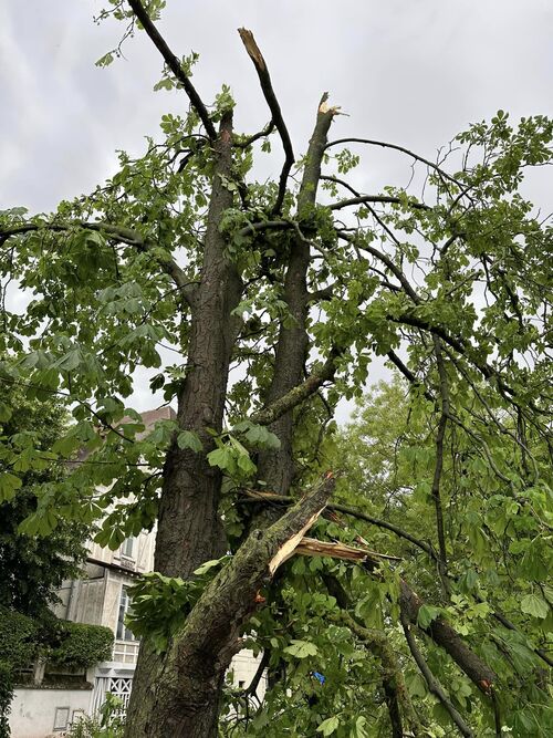 tempête dans ma ville de dimanche fin d'après midi