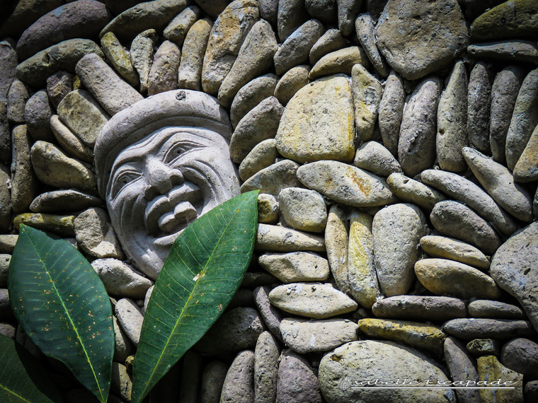 27 Juillet 2018 - Dans les rizières d'Ubud...