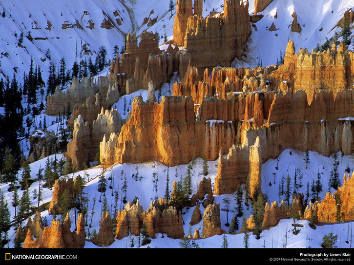 10 Images de Natl. Geographic 3