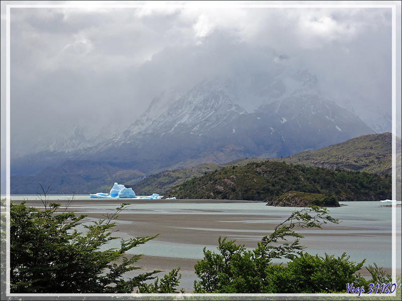 Lago Grey -  Parque Torres del Paine - Patagonie - Chili