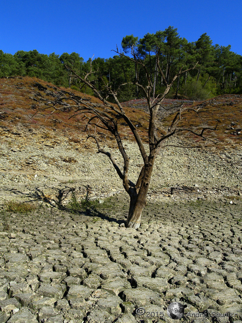 Lac de Guerlédan, suite...