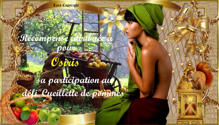 Récompenses pour le défi"La cueillette des pommes"