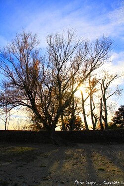 Au bord du lac 