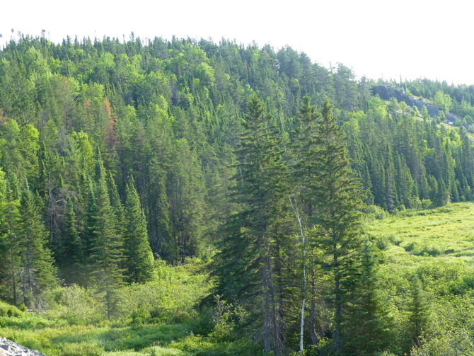 -Vers le nord de l'Ontario