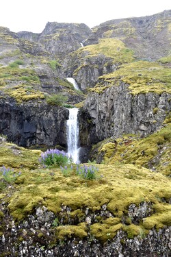 De Patreksfjörður à Patreksfjörður via Látrabjarg
