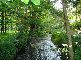 Rivières souterraines ... 