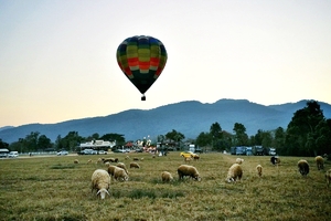 season balloons sheeps meadow 