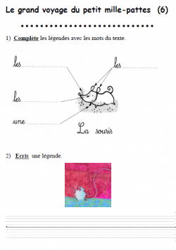 TAPUSCRIT : Le grand voyage du petit mille-pattes