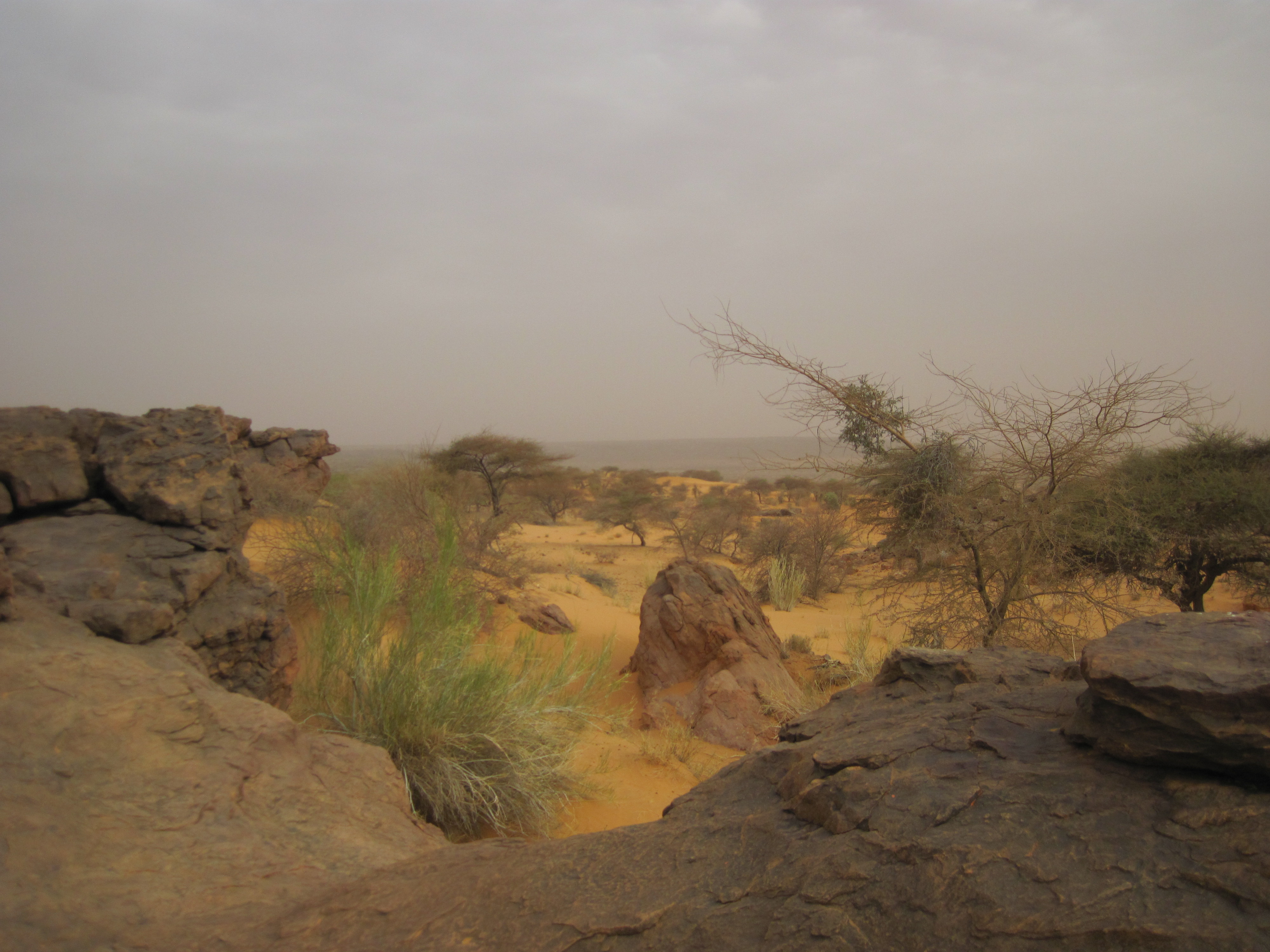 Mauritanie En haut de la Passe de Néga