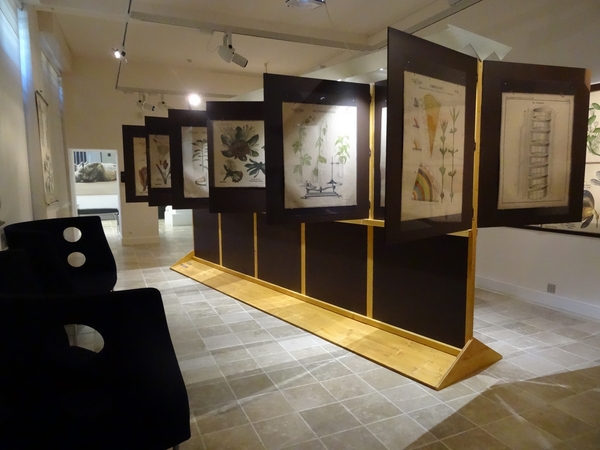 "Botanique entre Art et Sciences", une originale et superbe exposition au musée Buffon de Montbard.
