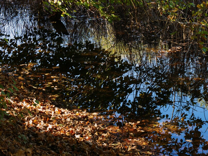 2024.11.02 Lac Saint-Clair (département Savoie)