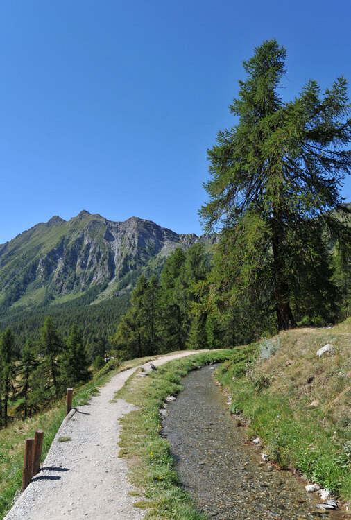 Italie, Val d'Ayas : le ru Courtaud