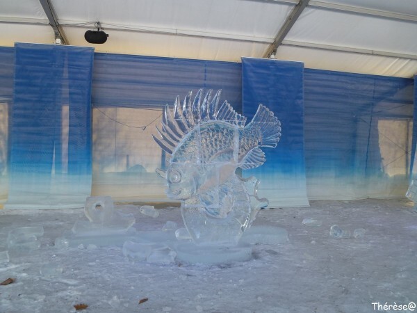 Ottawa sculpture sur glace Sur un étang de bulles (1)
