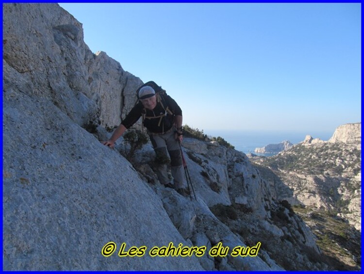 Le renard des calanques suite et ...fin !