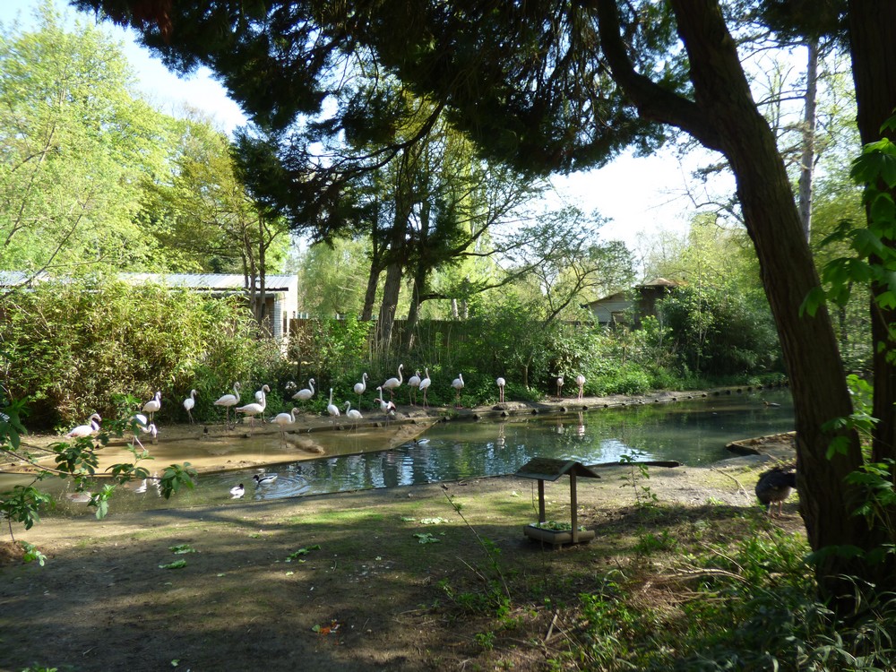 Notre Parc Animaliers