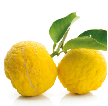 Drôles de citrons