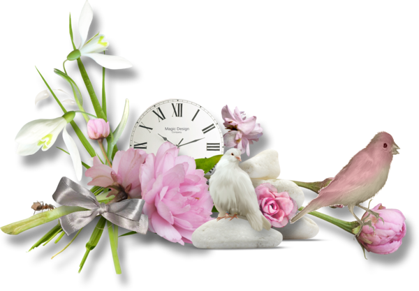 Barre-sepa-oiseaux-fleurs-horloge-TB-11_6.png