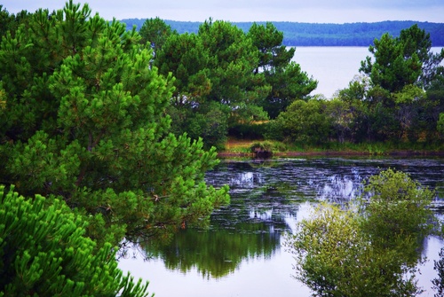 le lac de carcan maubuisson