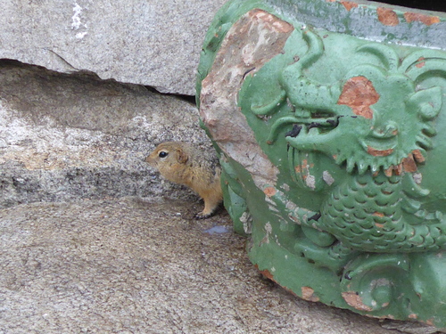 Voyage Transsibérien 2017, le 19/07, 12 ème jour,  Mongolie, temple Arya Bal (1)