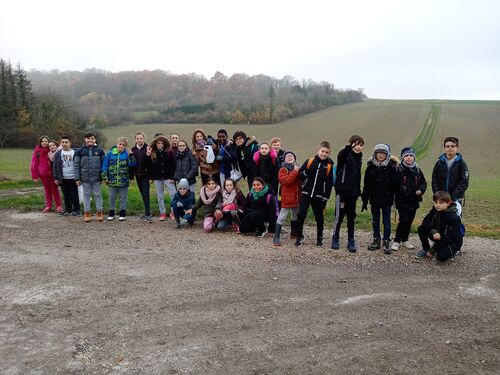 Deuxième randonnée en forêt