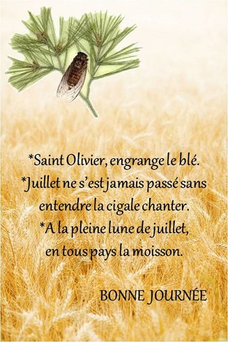 Dictons et Fête du jour Olivier + grille prénom   !