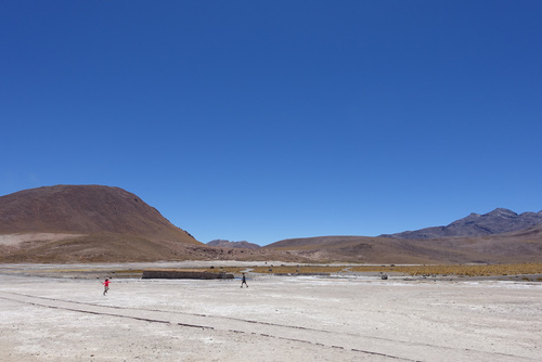 Geysers del Tatio - Goodbye Atacama !