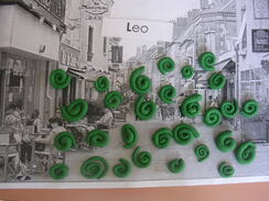 LES ESCARGOTS DE LEON (1)