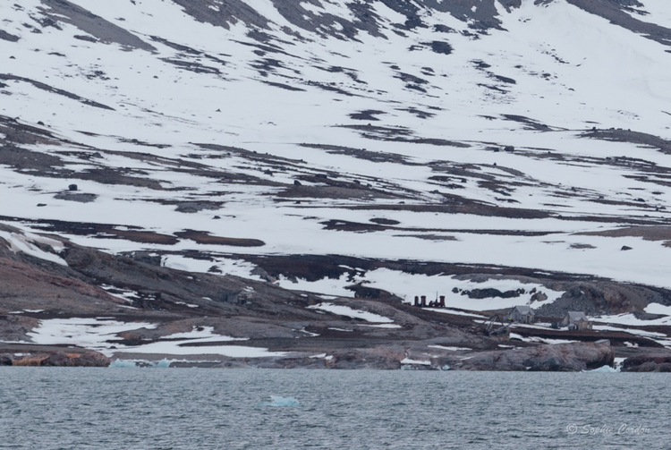 Nordstjernen 21 Mai - Blomstrandbreen encore