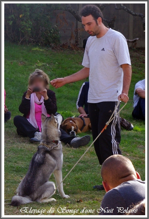 Cani-rando de Moulayrès (25 octobre 2015)