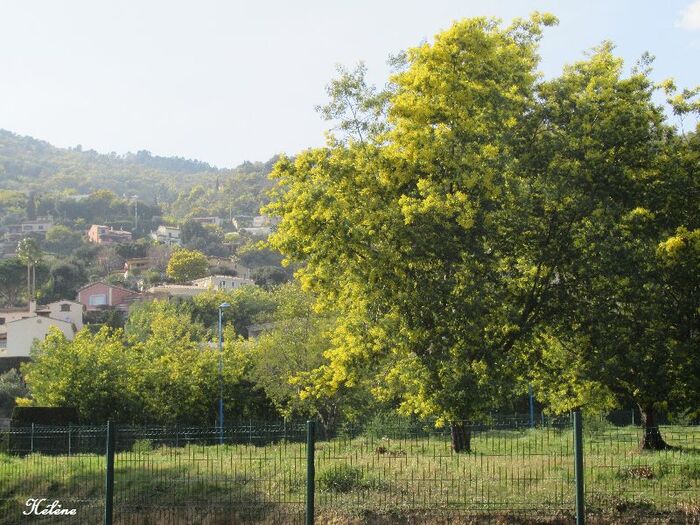 départ de Cannes pour le Var 