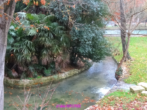 Fontaine de Vaucluse : mes photos