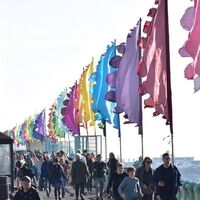 books flags festival flags