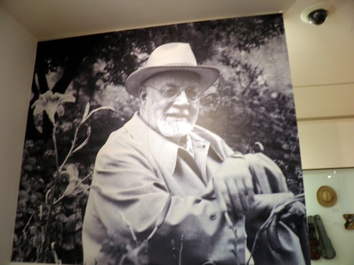Le musée Matisse