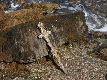 Une épée presque millénaire trouvée au fon de l'eau ...